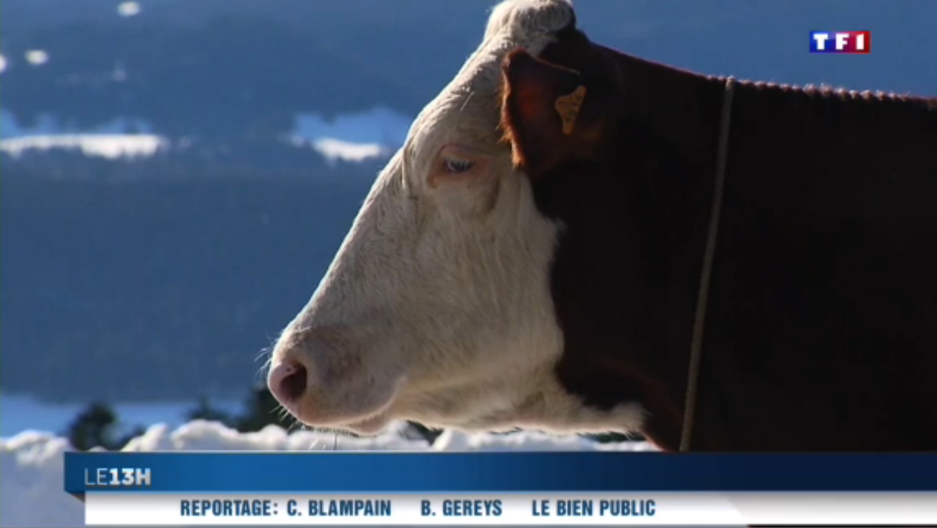 rencontre jura lons le saunier